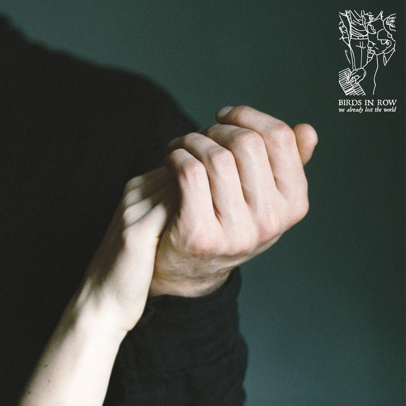 Birds in Row WE ALREADY LOST THE WORLD CD