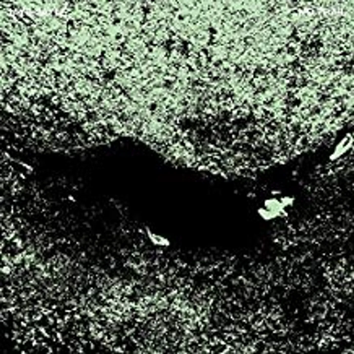 Jaye Jayle NO TRAIL & OTHER UNHOLY PATHS CD