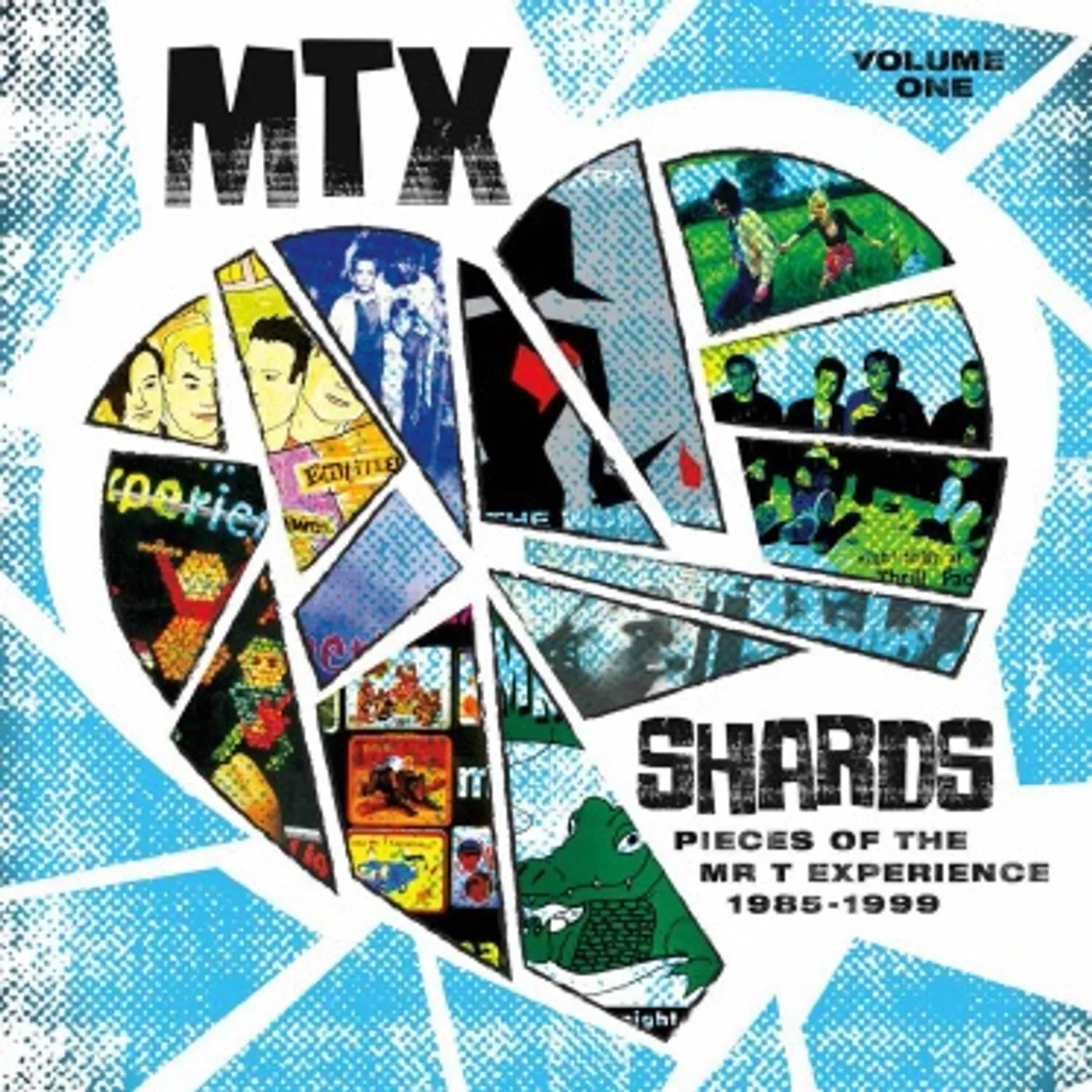 The Mr. T Experience SHARDS VOL. 1 Vinyl Record