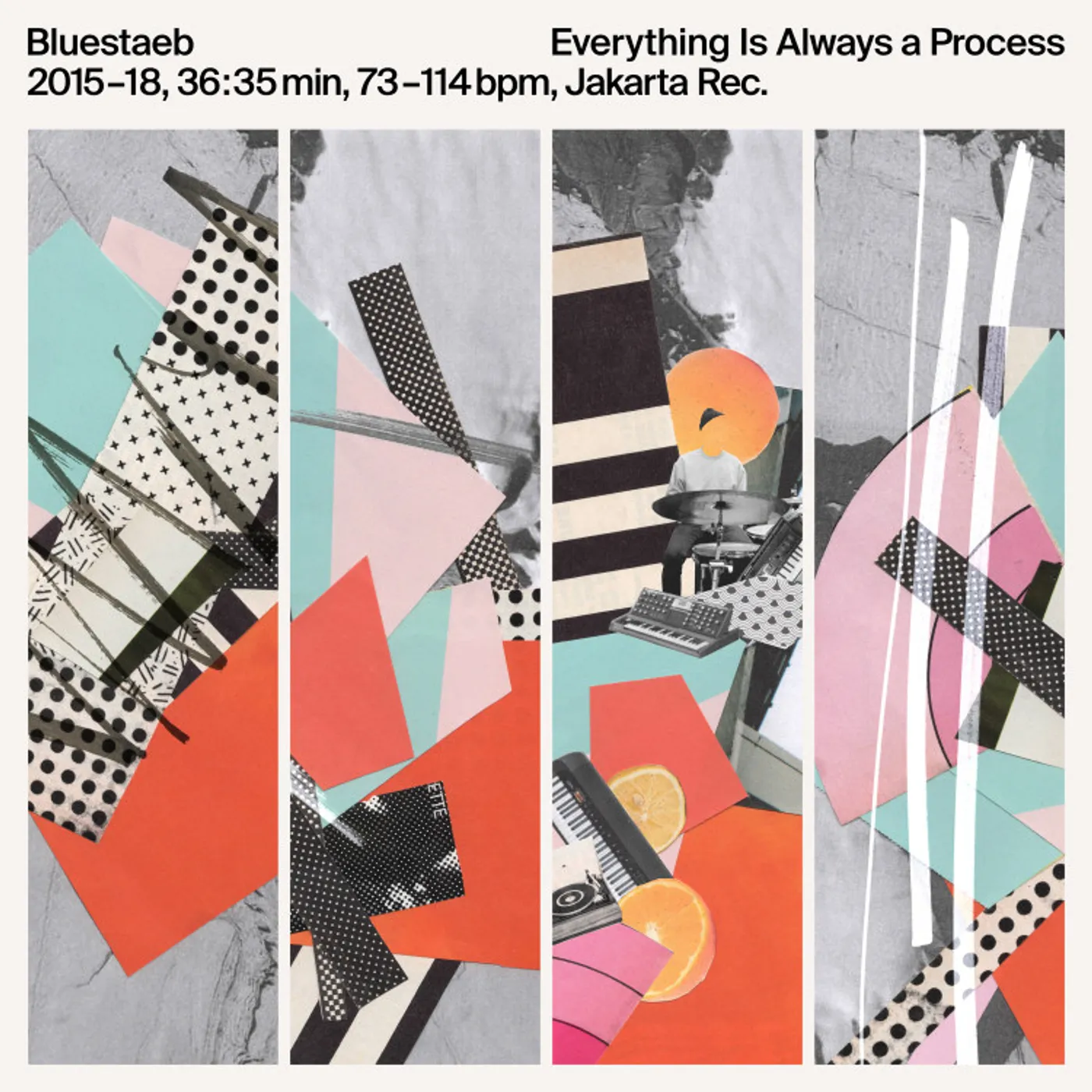Bluestaeb Everything Is Always a Process Vinyl Record