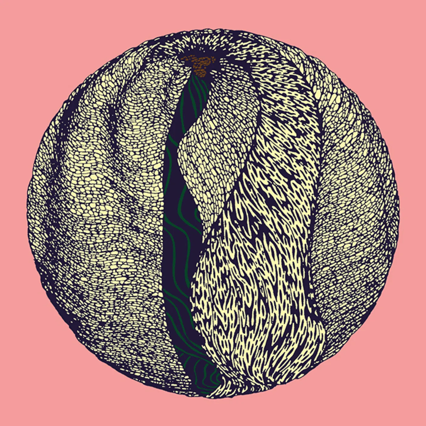 Fleur OUTBREAKER Vinyl Record