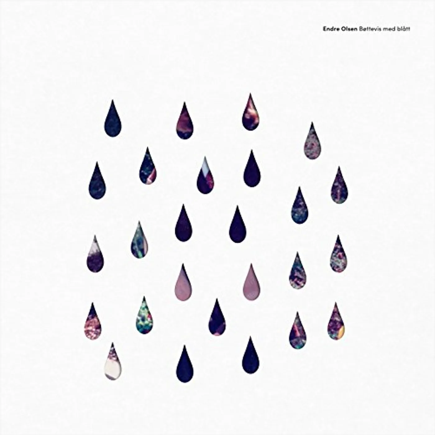 Endre Olsen BOTTEVIS MED BLATT Vinyl Record