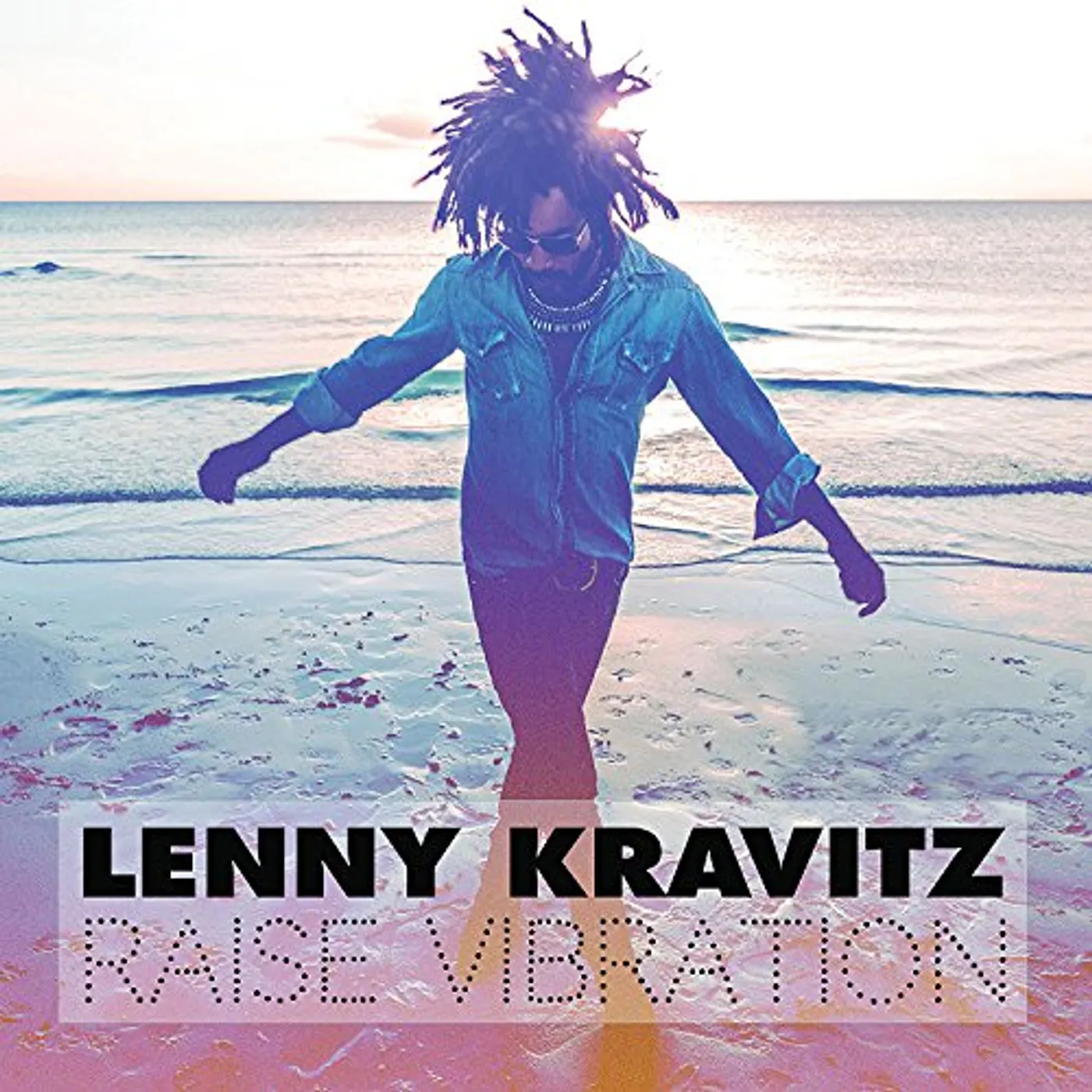 Lenny Kravitz RAISE VIBRATION (2LP/DL CODE) Vinyl Record