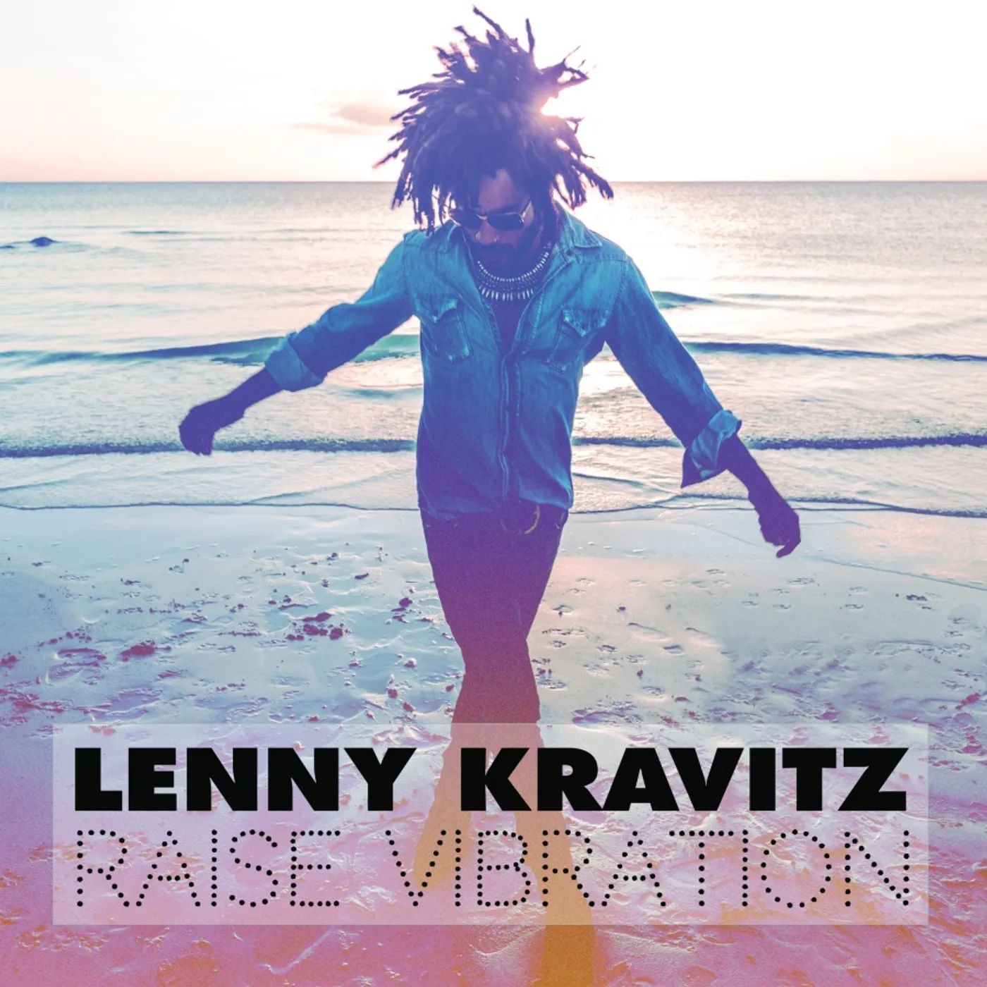 Lenny Kravitz Raise Vibration Vinyl Record
