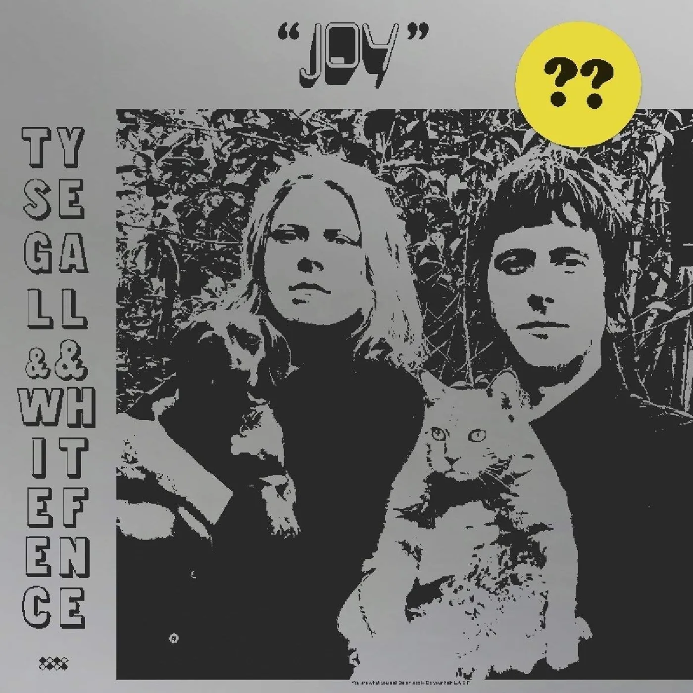 Ty Segall JOY CD