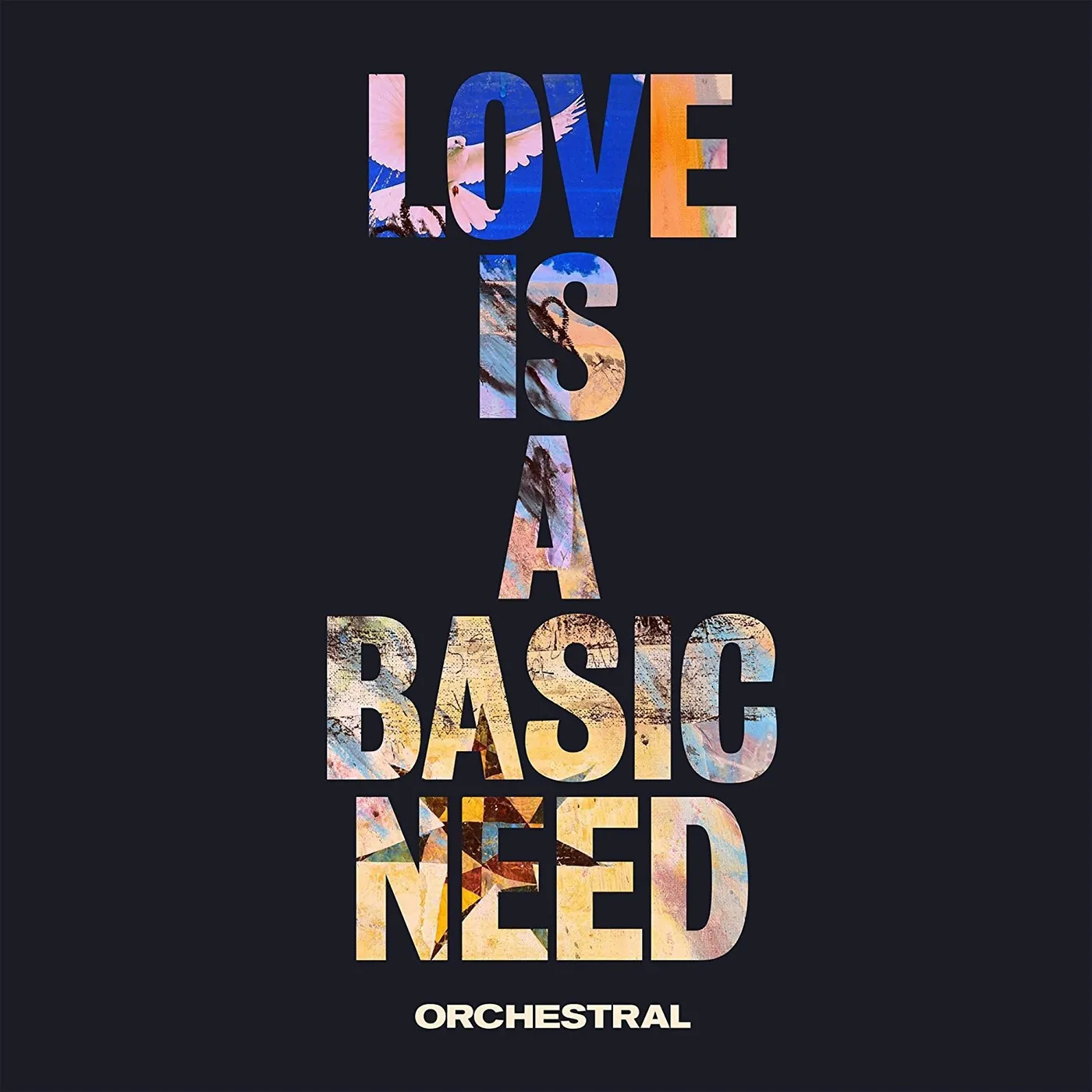 Embrace Love Is A Basic Need (Orchestral) Vinyl Record