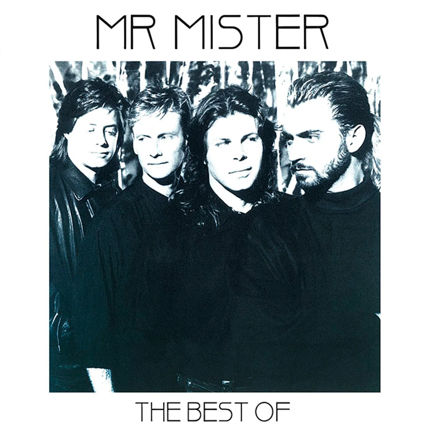 Mr. Mister BEST OF CD
