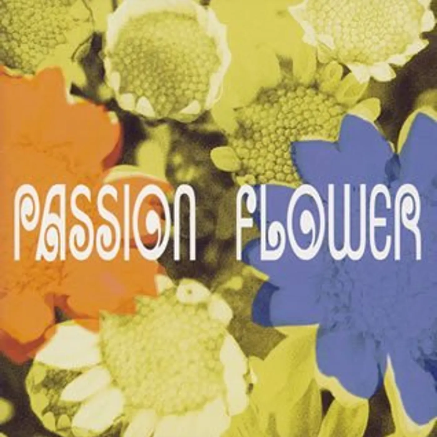T-SQUARE PASSION FLOWER Super Audio CD