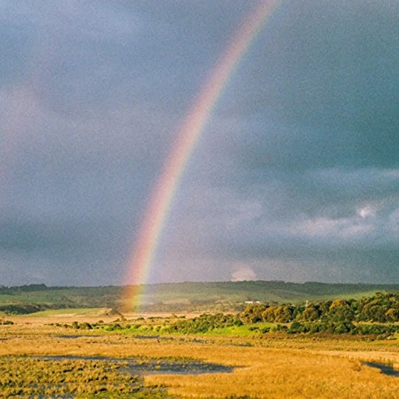 Mallrat In The Sky Vinyl Record