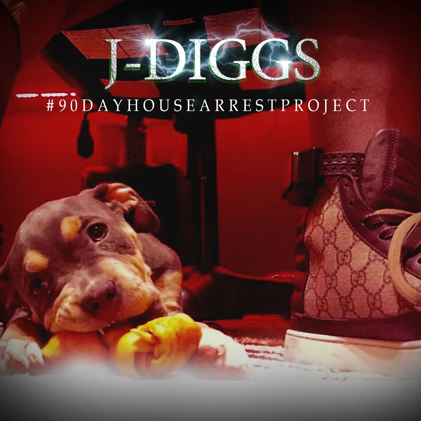 J-Diggs #90DAYHOUSEARRESTPROJECT CD