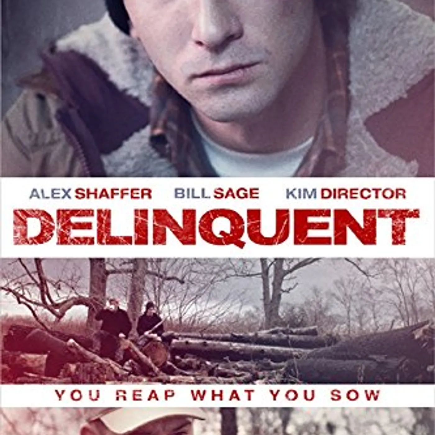 Delinquent DVD