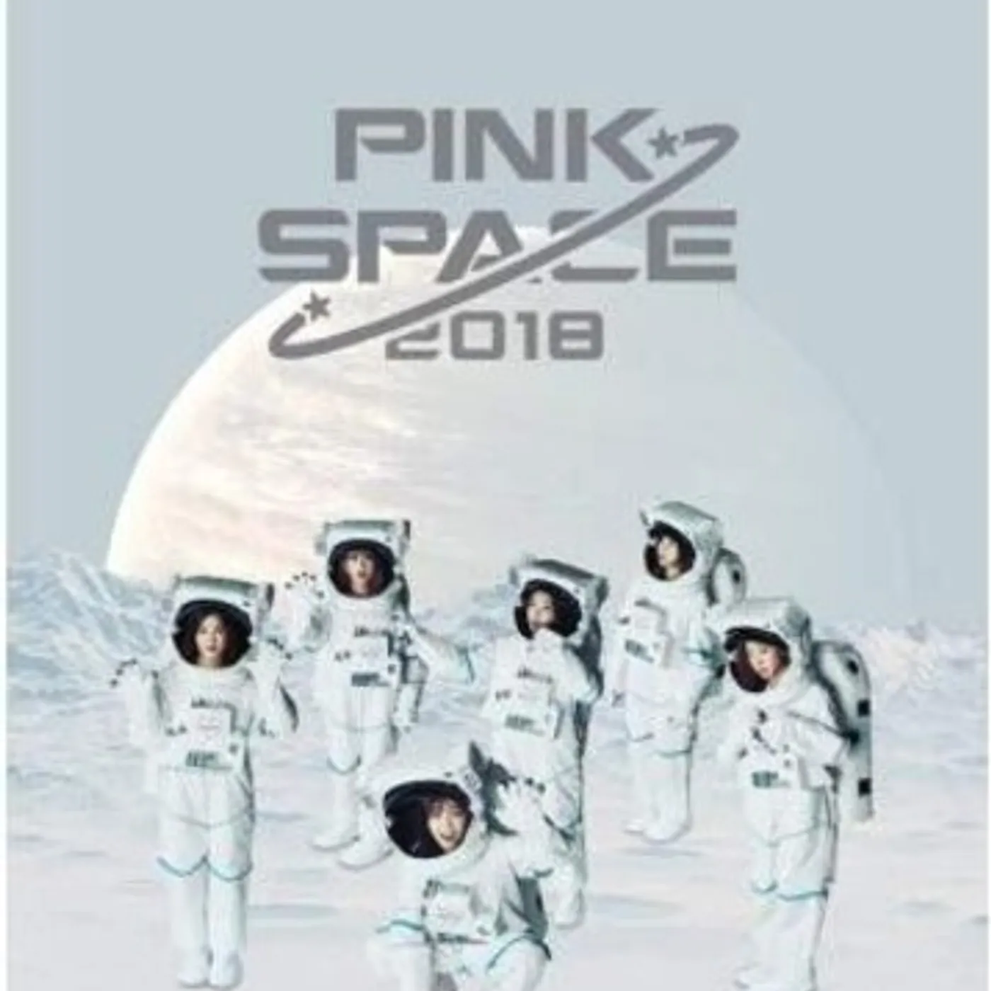 Apink PINKSPACE 2018 CONCERT BOOK DVD