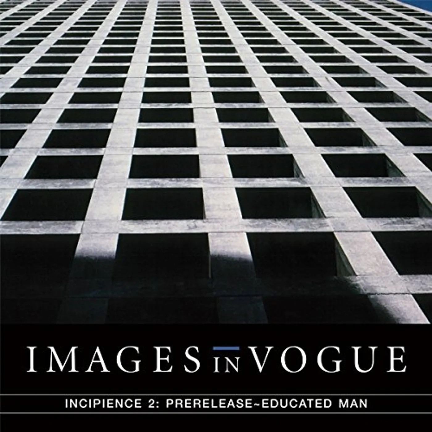 Images In Vogue INCIPIENCE 2: PRERELEASE EDUCATED MAN Vinyl Record