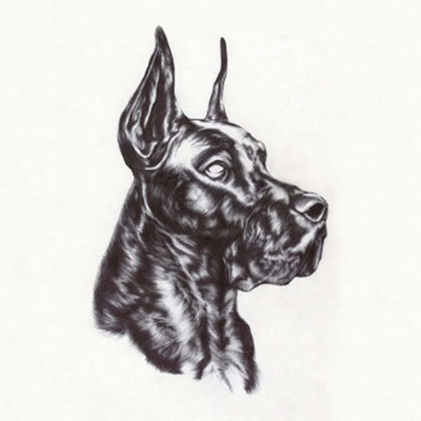 Great Dane Alpha Dog Vinyl Record