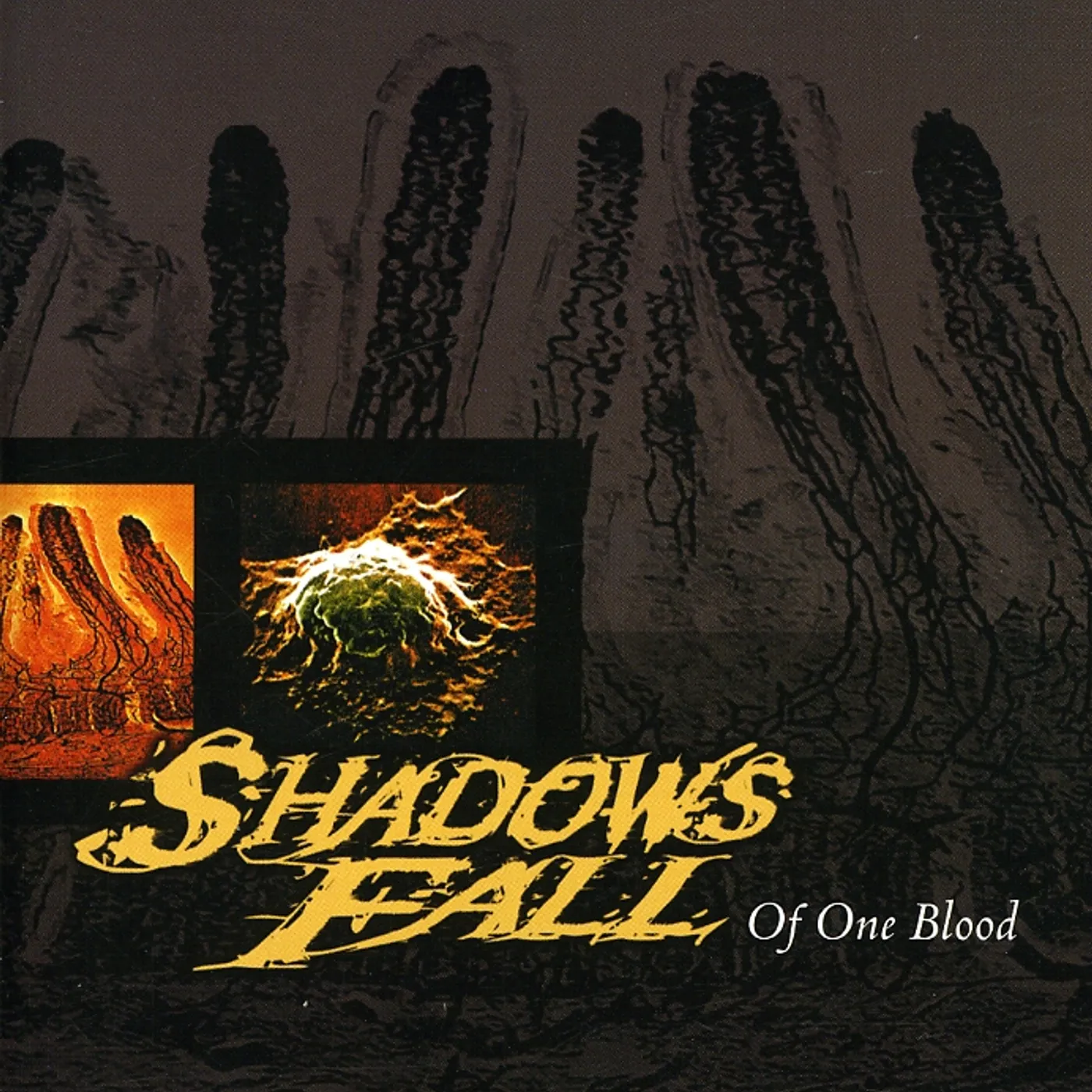 Shadows Fall OF ONE BLOOD CD