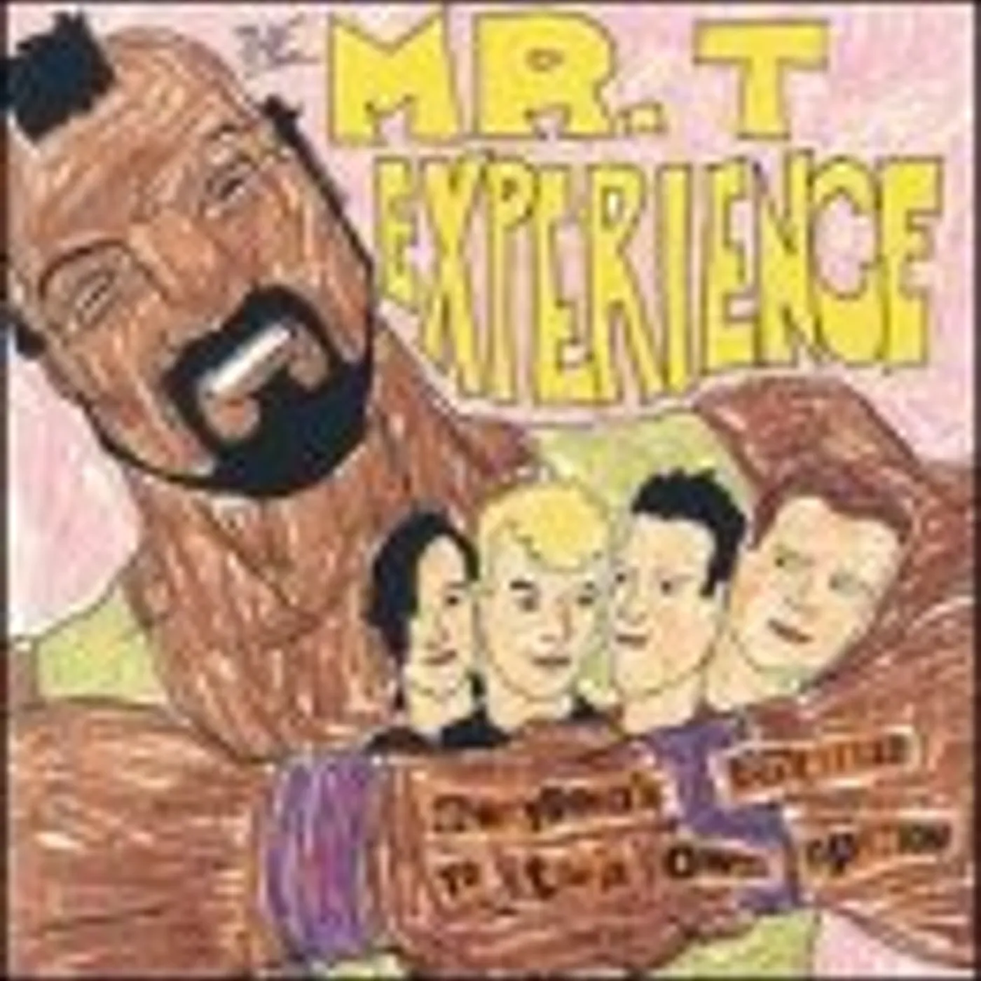 The Mr. T Experience EVERYBODY'S ENTITLED TO THEIR OWN OPINION CD