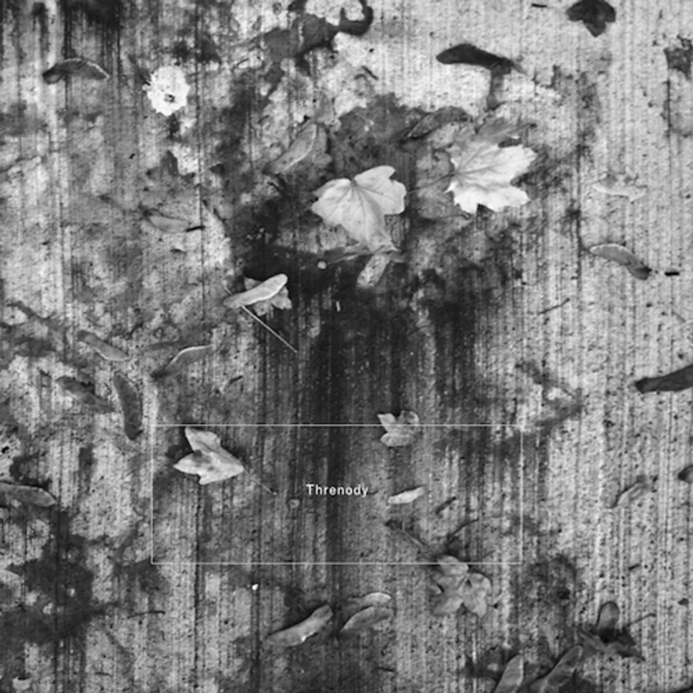 K. Leimer THRENODY CD