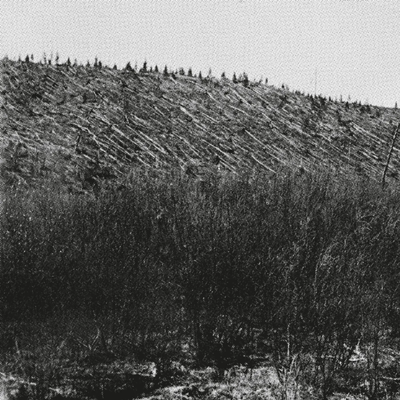 Pina LARM Vinyl Record