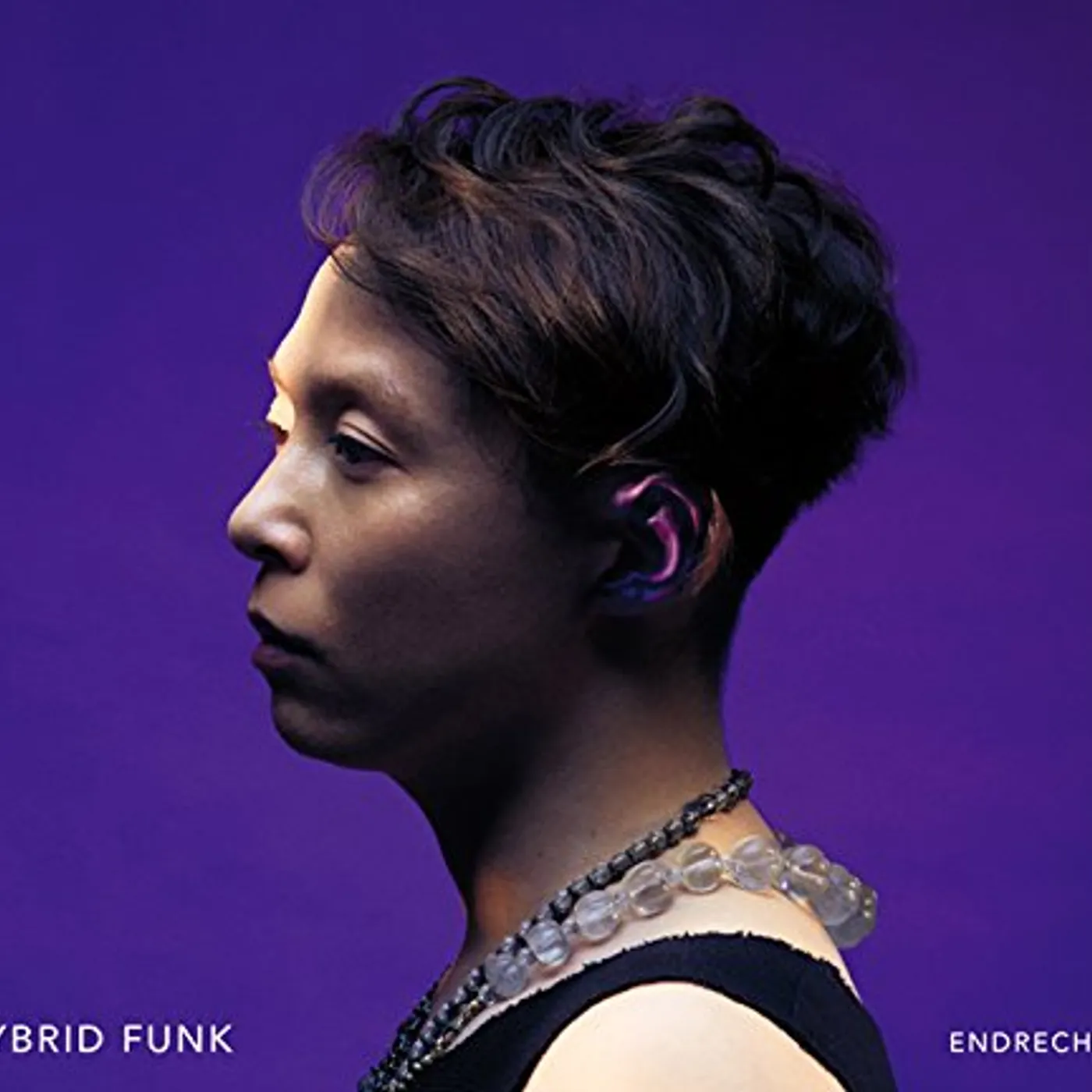 .ENDRECHERI. HYBRID FUNK CD