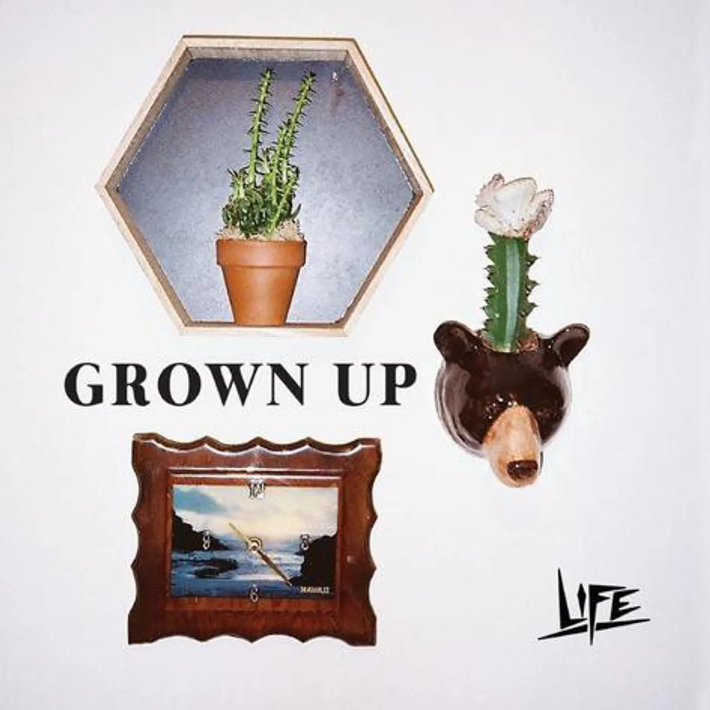 Life GROWN UP Vinyl Record