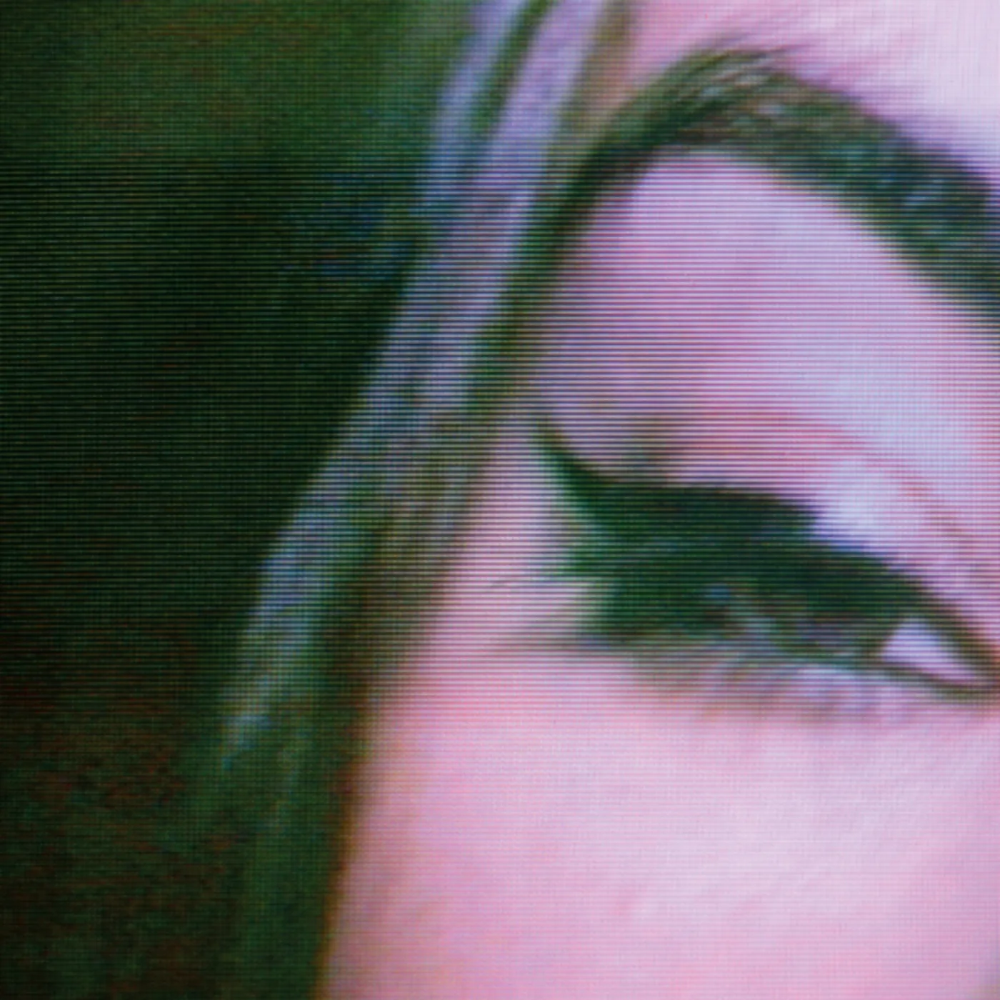 Death In Vegas Honey Vinyl Record