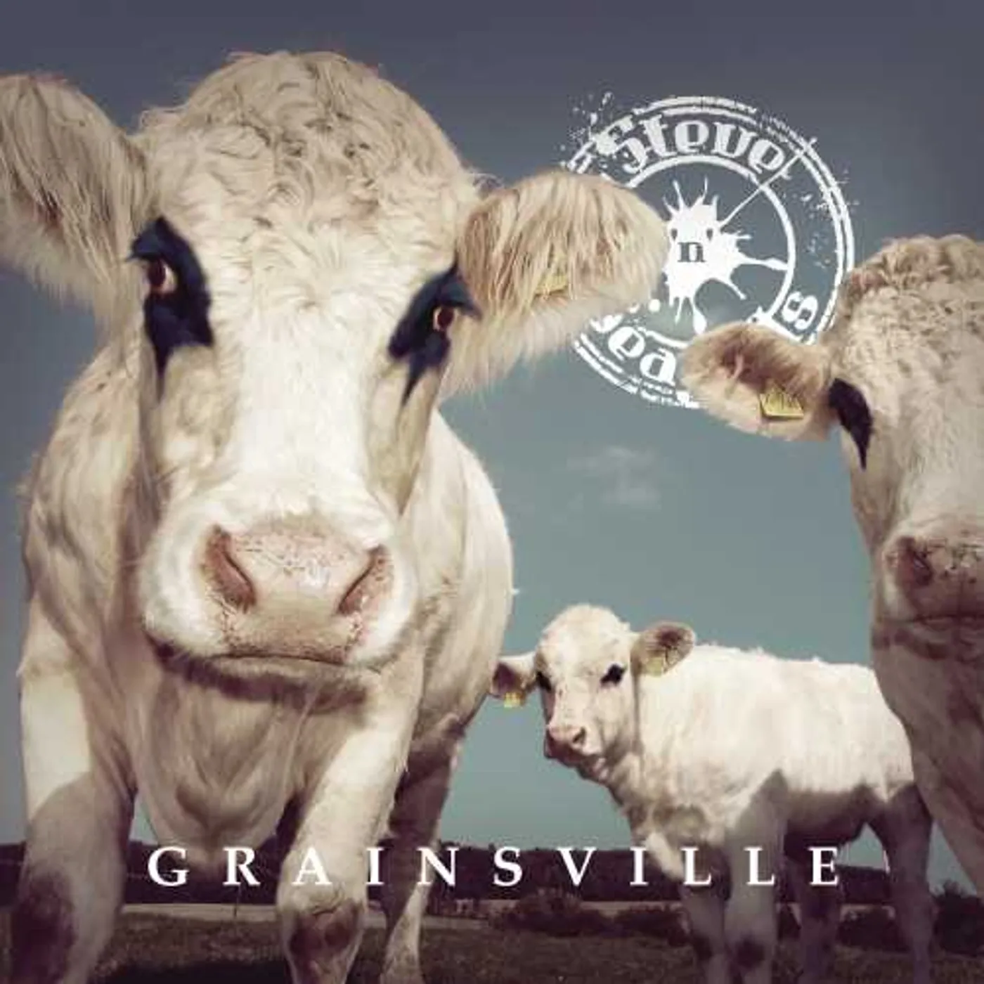 Steve ´n´ Seagulls 579156579156 Grainsville Vinyl Record