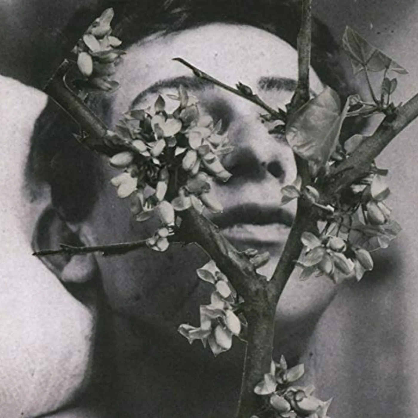 Manes SLOW MOTION DEATH SEQUENCE CD