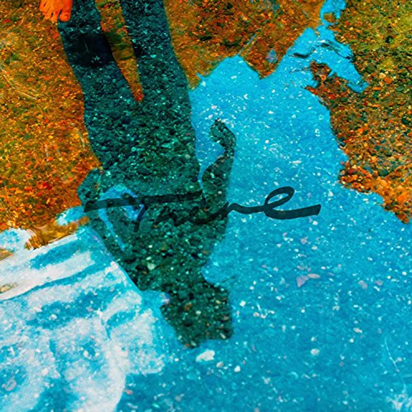 The fin. There Vinyl Record