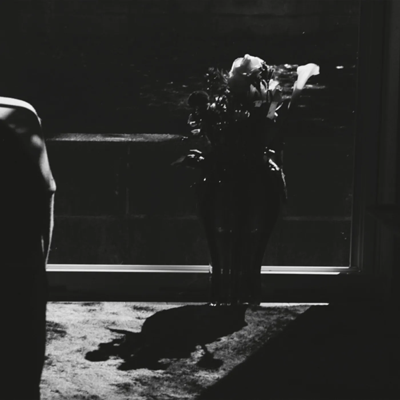 Petre Inspirescu Murgullll Vinyl Record