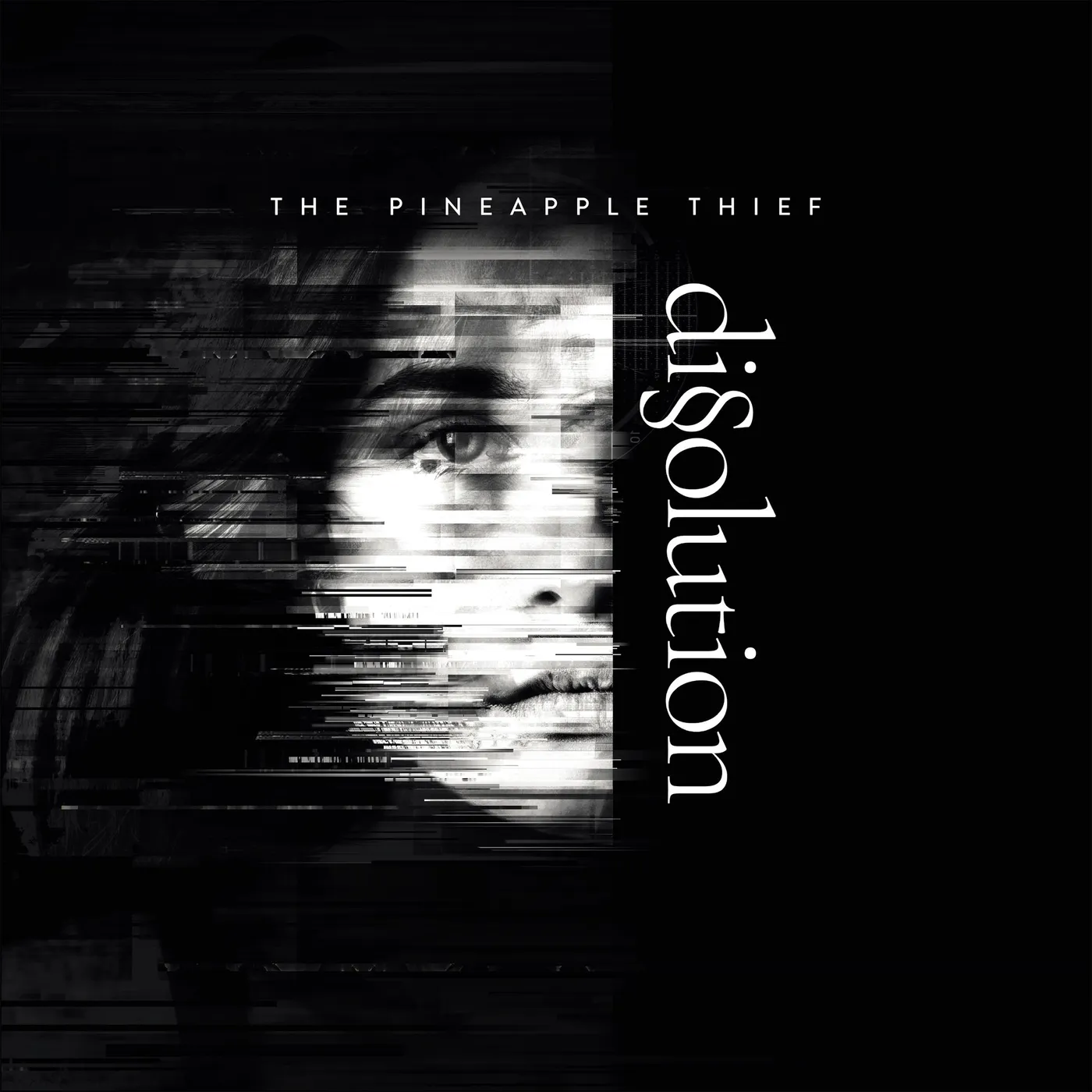 The Pineapple Thief DISSOULTION Vinyl Record