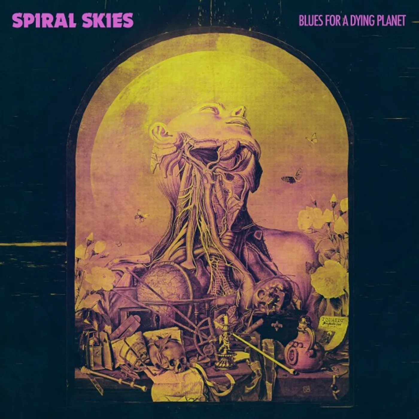 Spiral Skies Blues for a Dying Planet Vinyl Record