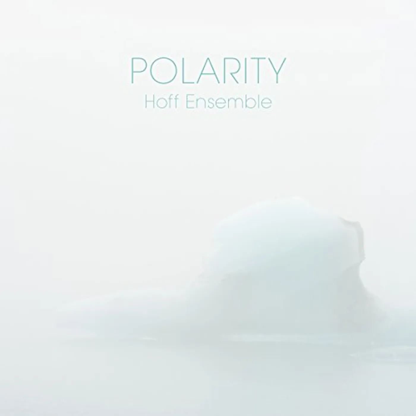 Hoff ensemble POLARITY Blu-ray Audio