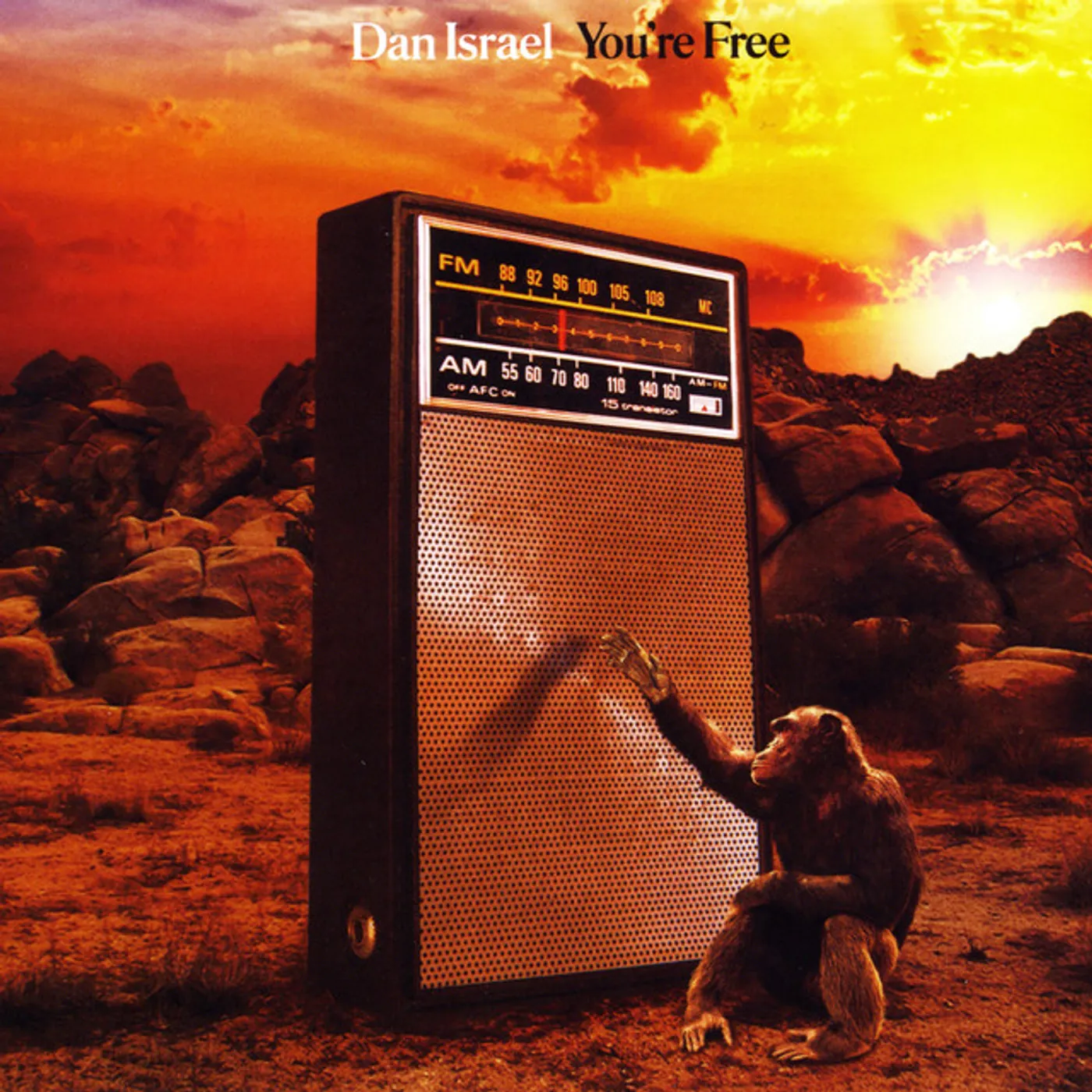 Dan Israel You're Free Vinyl Record