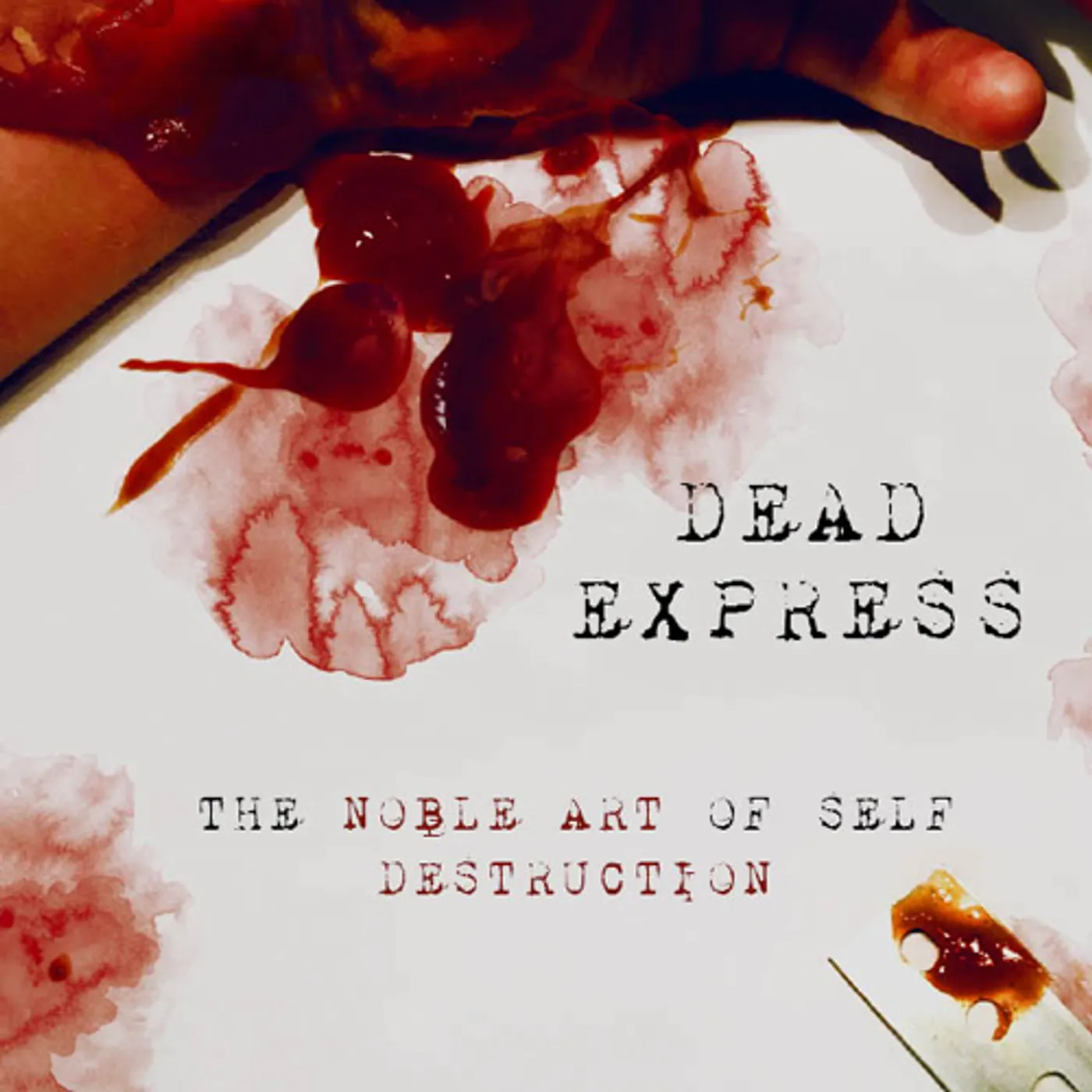 Dead Express The Noble Art of Self Destruction Vinyl Record