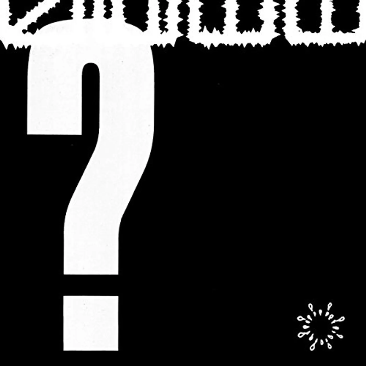 S.H.I.T. WHAT DO YOU STAND FOR Vinyl Record