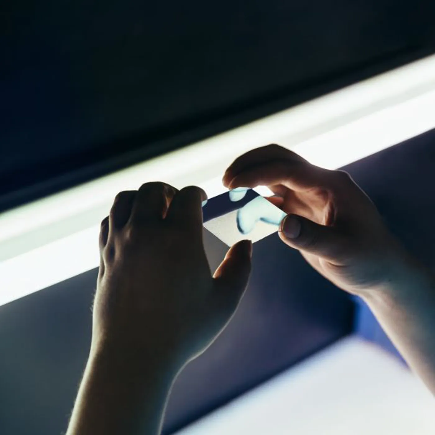 Maenad Veyl NOT WHAT YOU SEE NOT WHAT YOU FEEL Vinyl Record