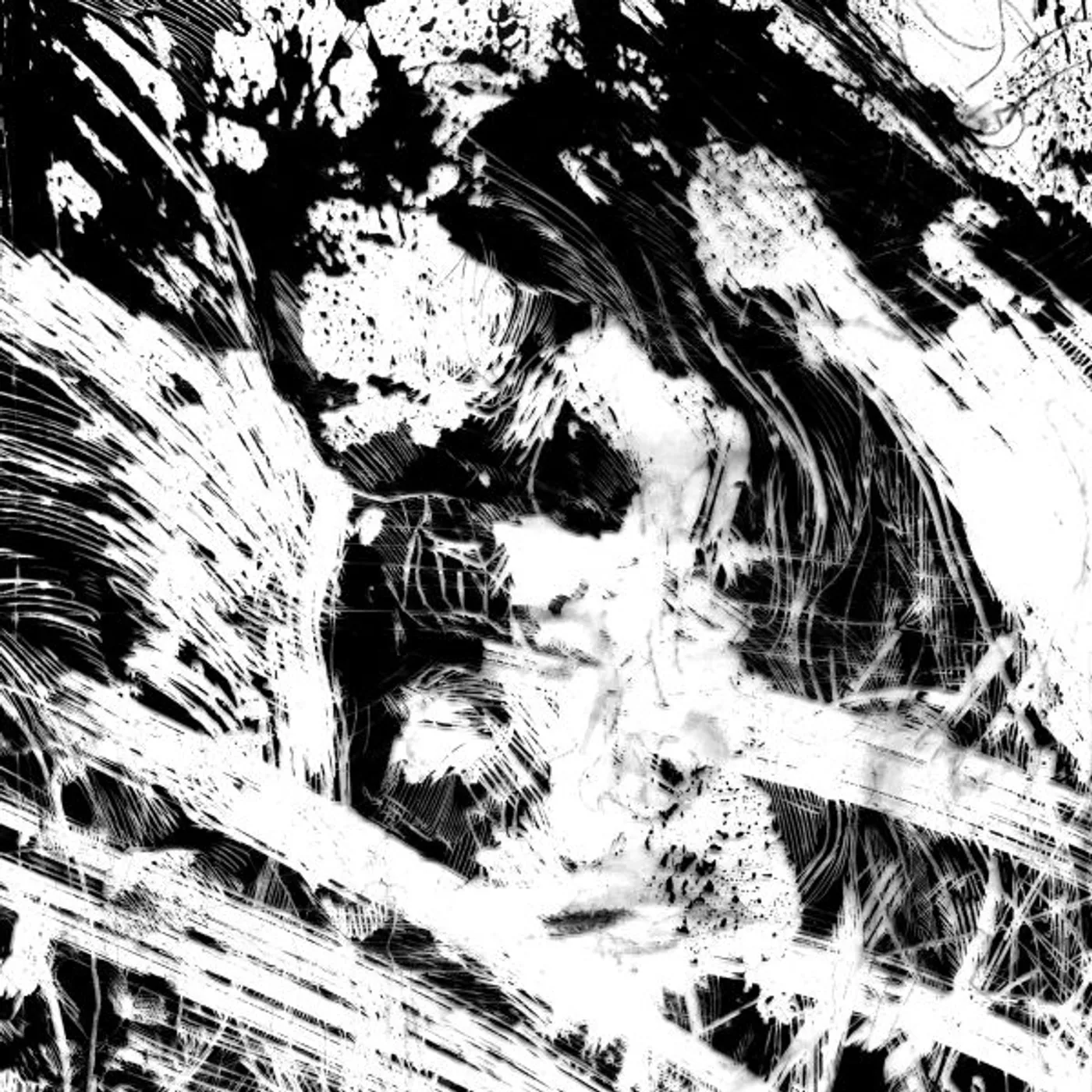 Fur Coat REPEAT Vinyl Record