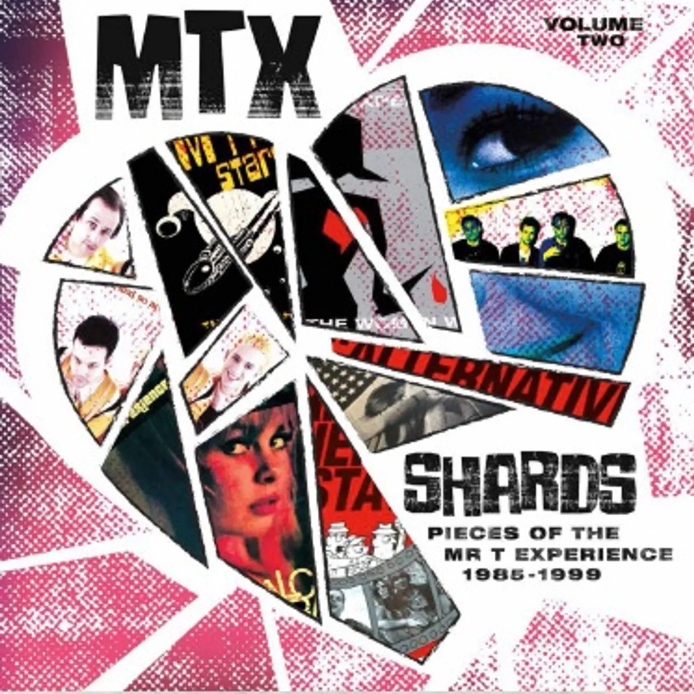 The Mr. T Experience Shards Vol. 2 Vinyl Record
