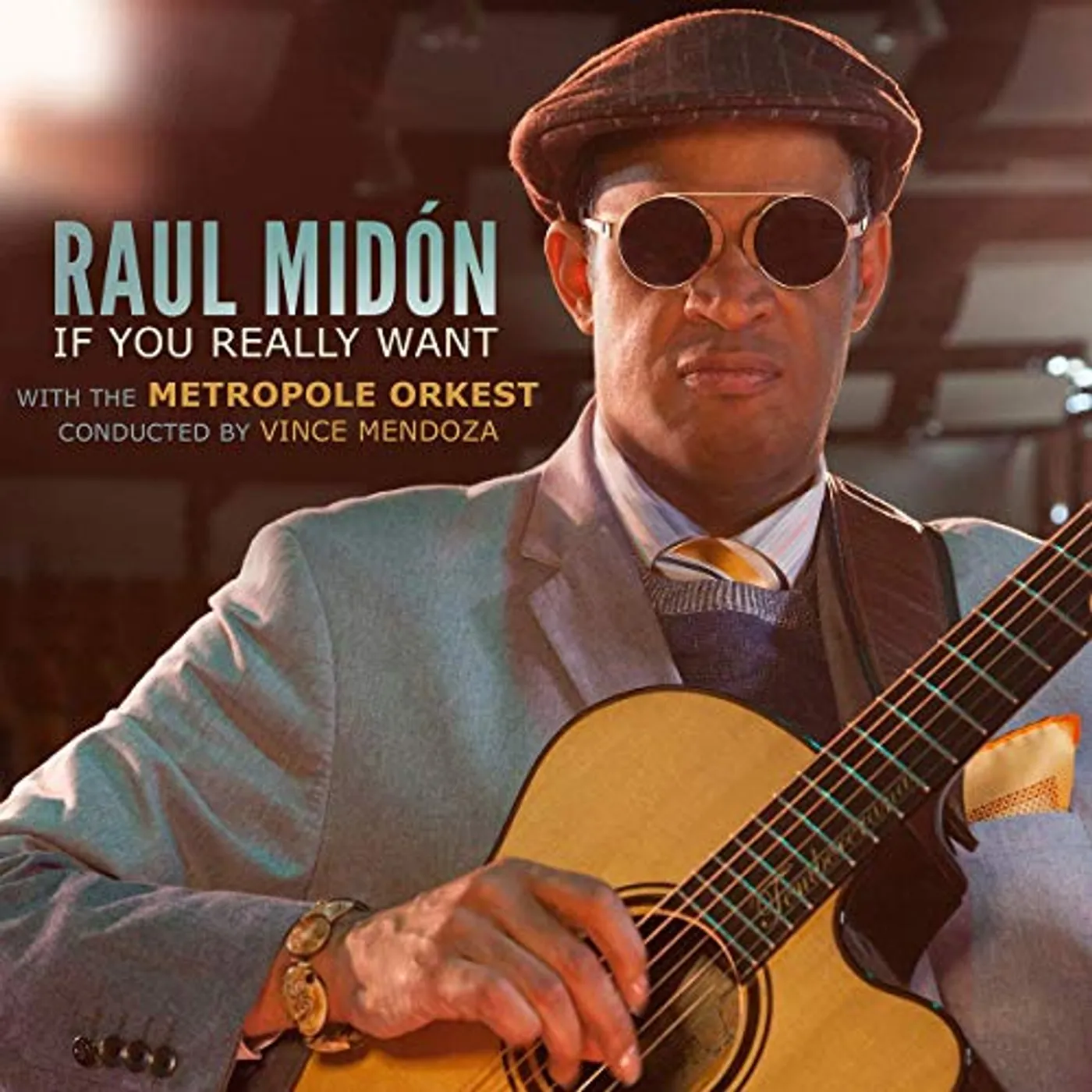 Raul Midón IF YOU REALLY WANT CD