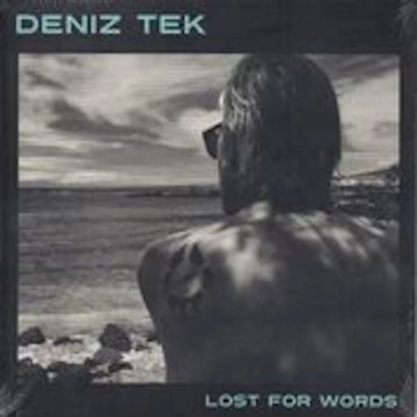 Deniz Tek Lost for Words Vinyl Record