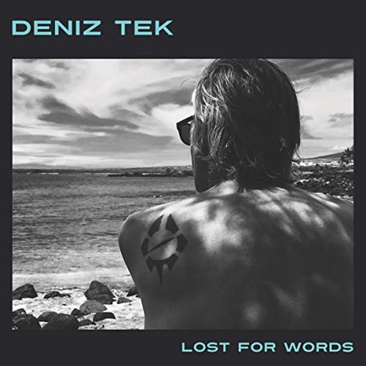 Deniz Tek LOST FOR WORDS CD