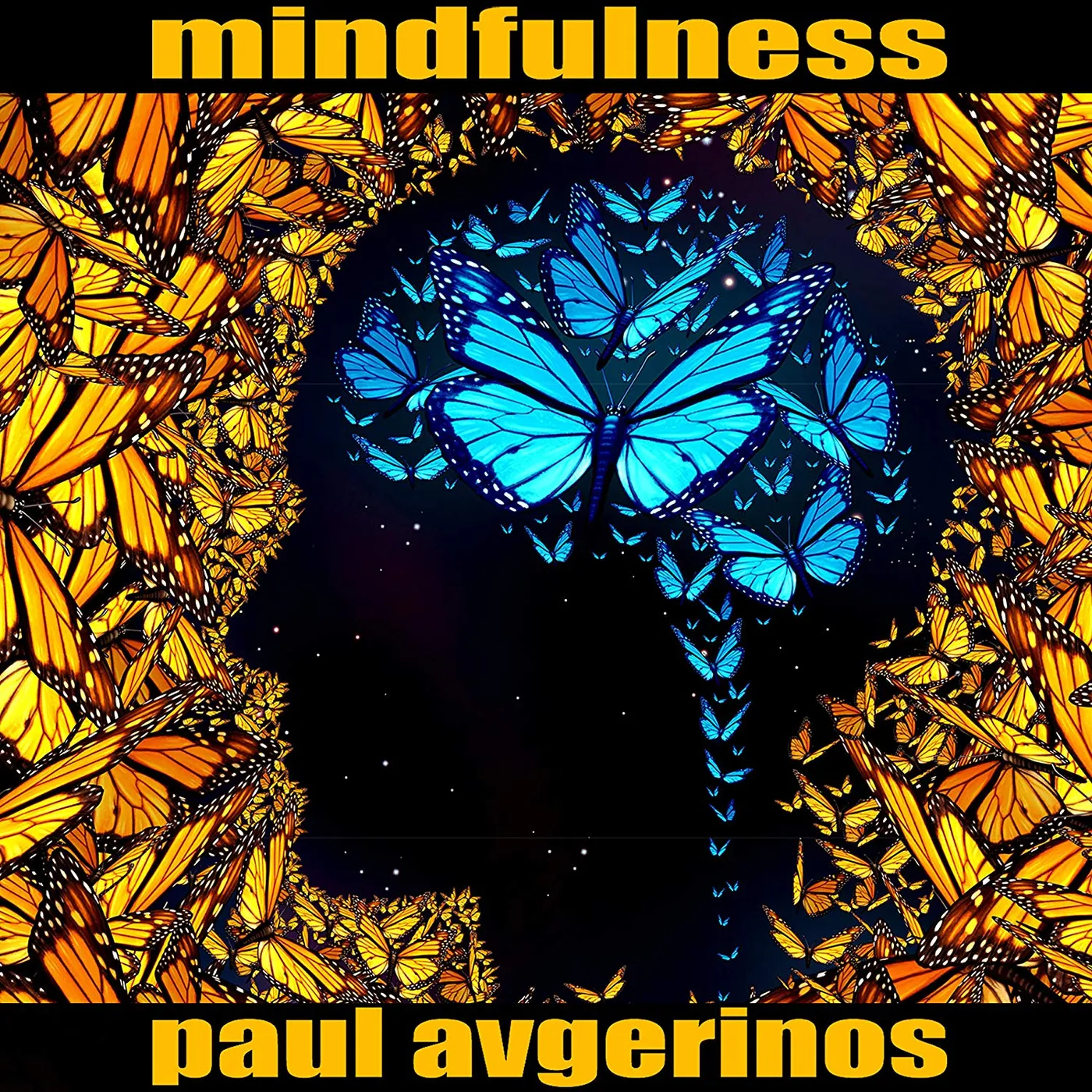 Paul Avgerinos MINDFULNESS CD