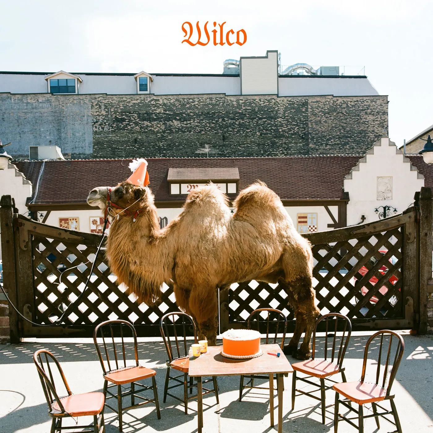 WILCO Vinyl Record