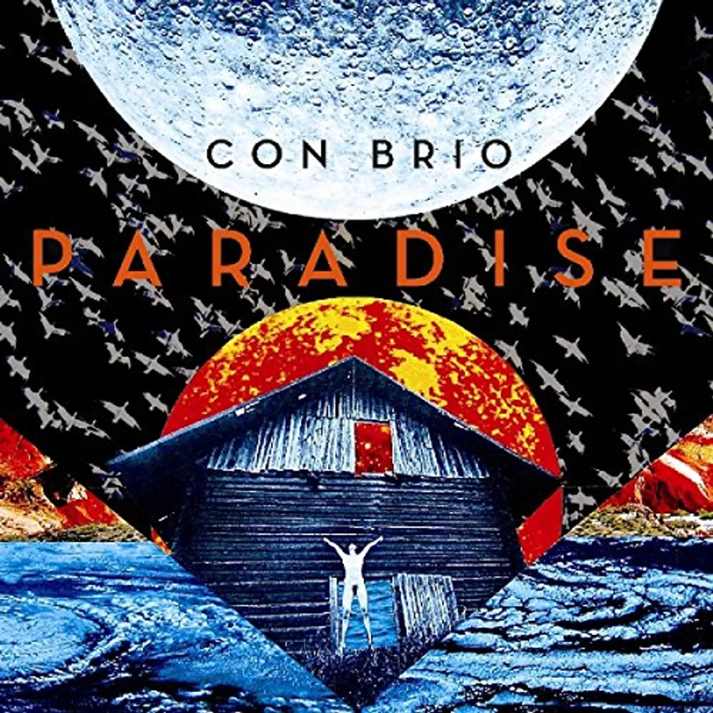 Con Brio Paradise Vinyl Record