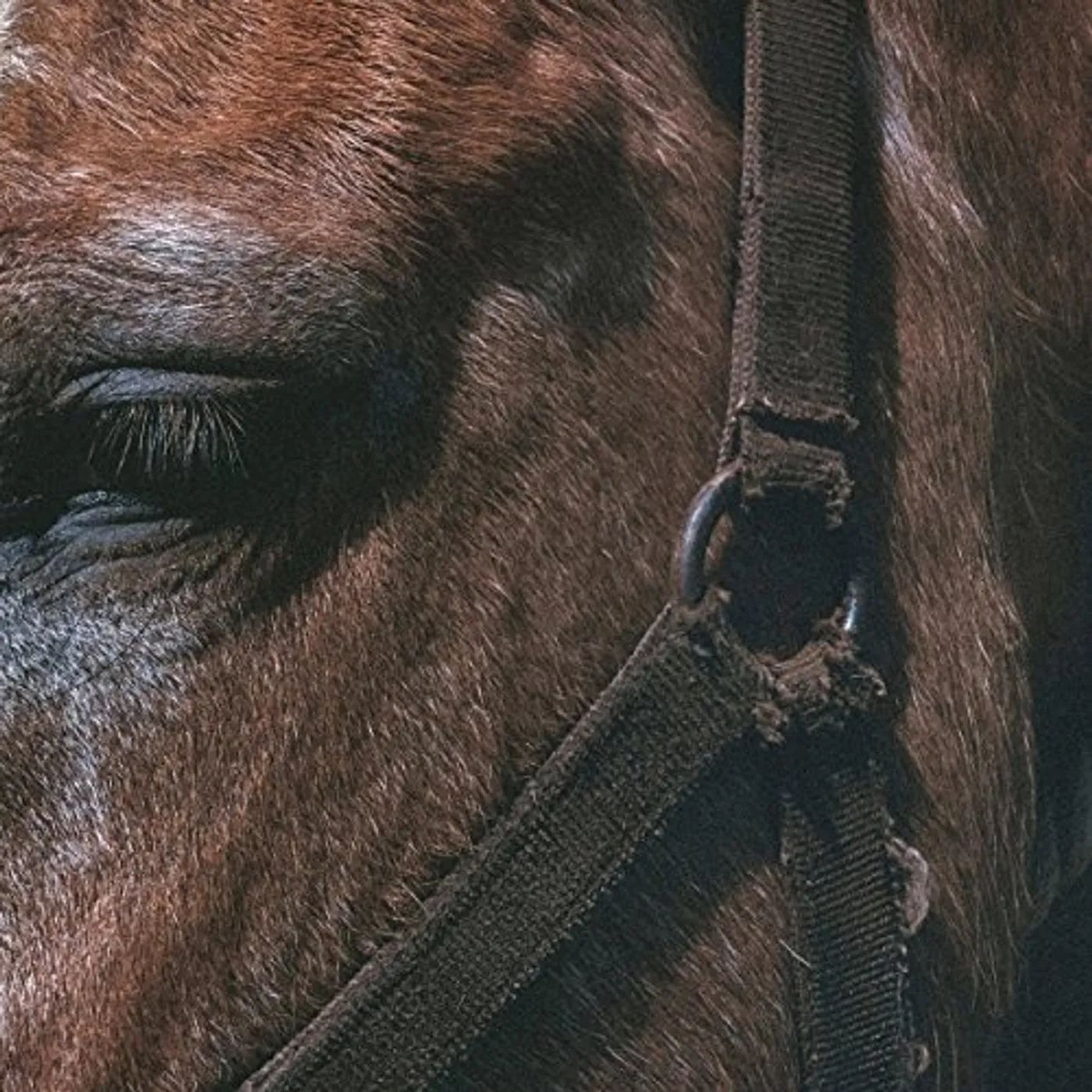 Darto FUNDAMENTAL SLIME Vinyl Record