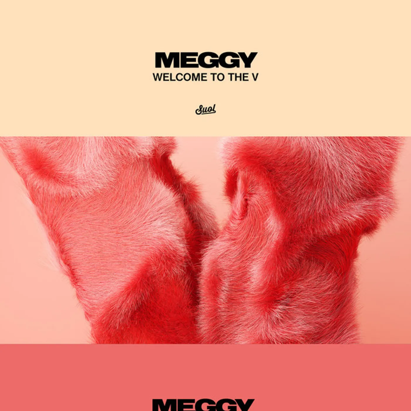 Meggy Welcome to the V Vinyl Record