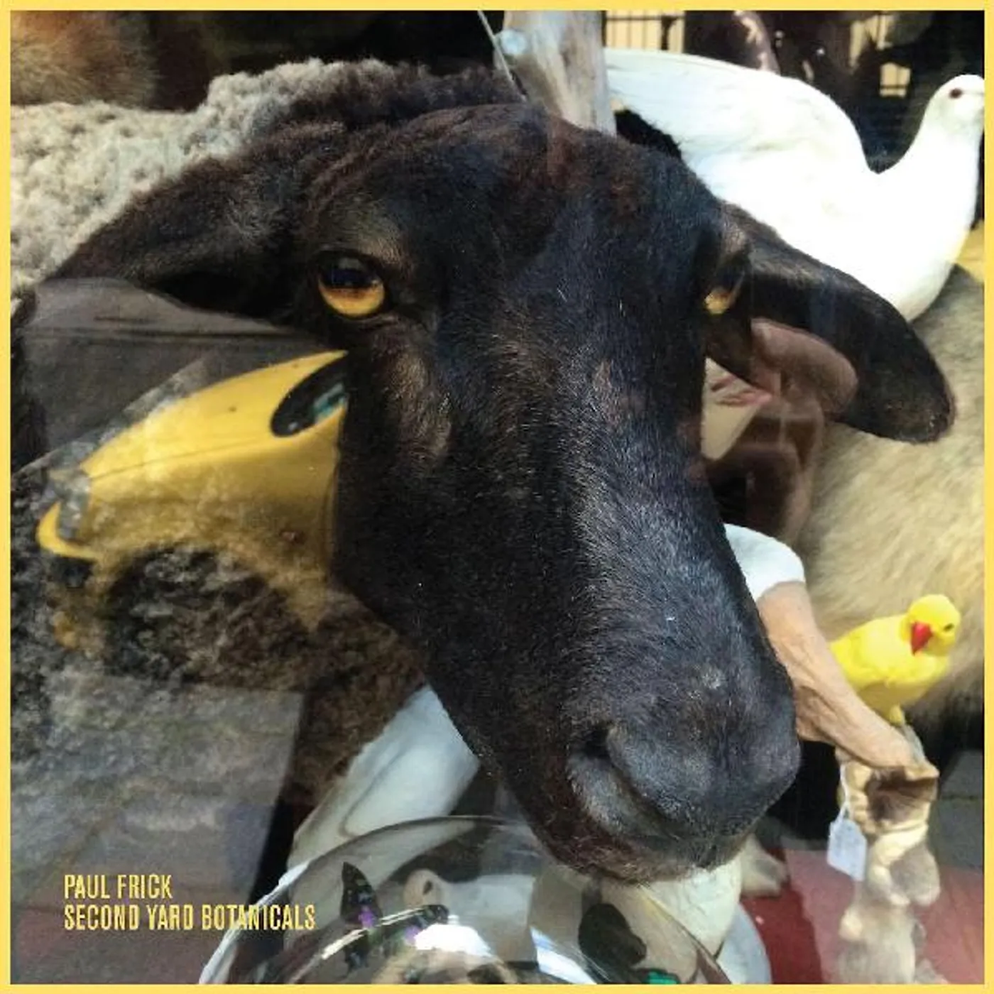 Paul Frick Second Yard Botanicals Vinyl Record