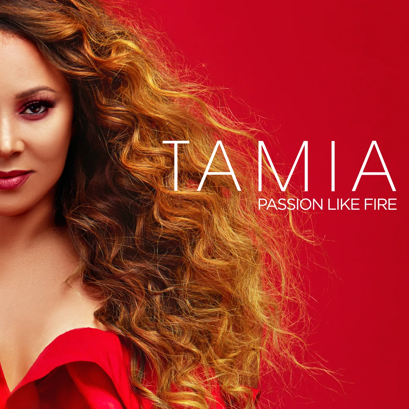 Tamia PASSION LIKE FIRE CD