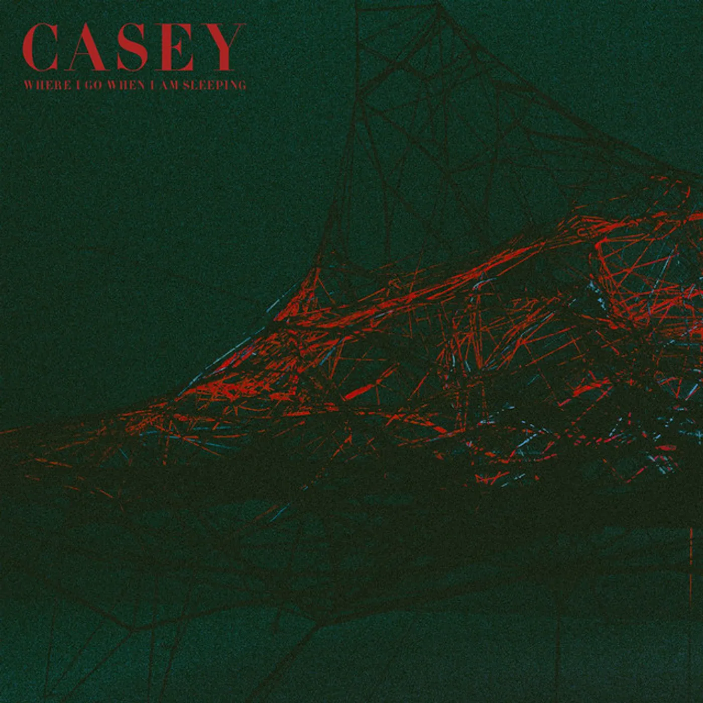 Casey Where I Go When I Am Sleeping Vinyl Record