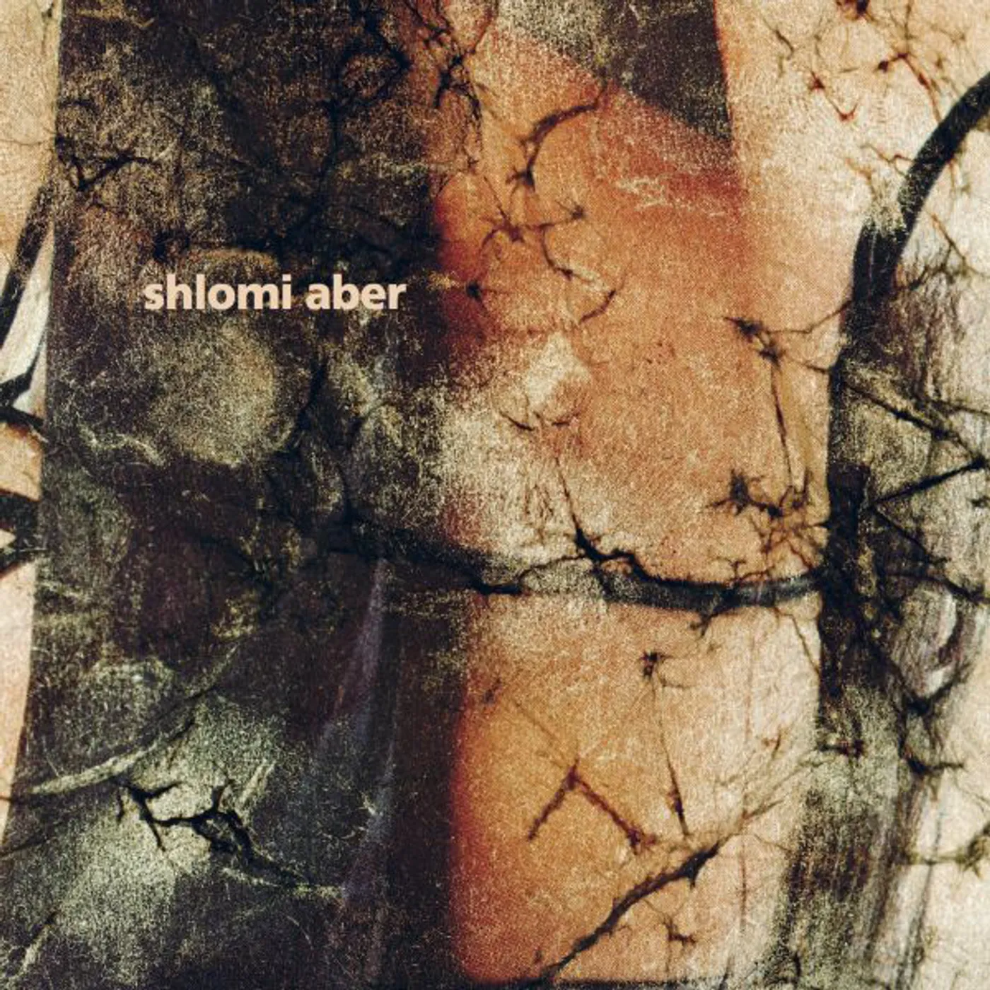Shlomi Aber Whistler Vinyl Record